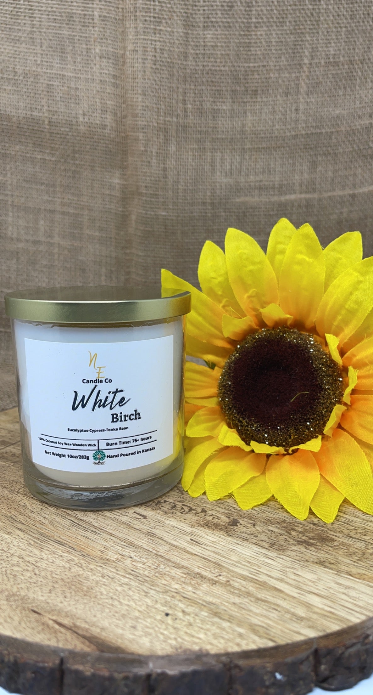 White Birch Candle